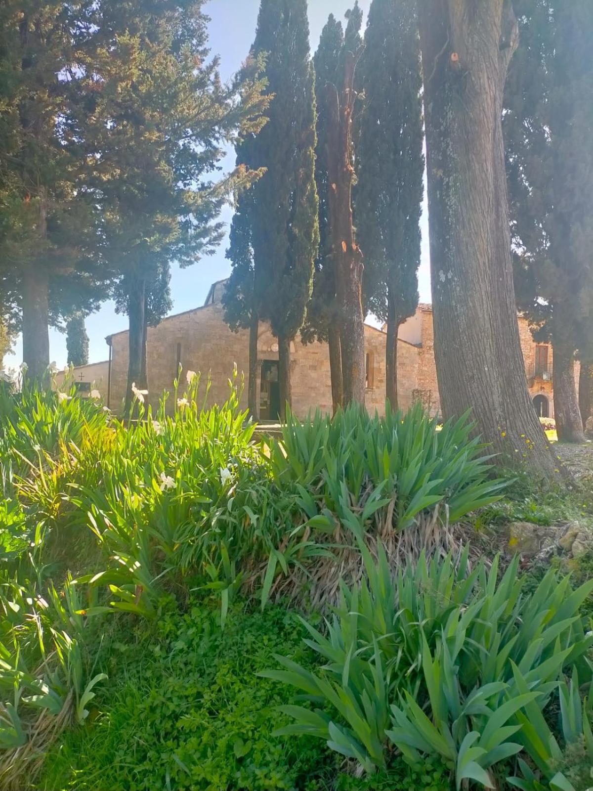 Cielo - Antica Casa Sulla Via Francigena Villa San Gimignano Eksteriør bilde
