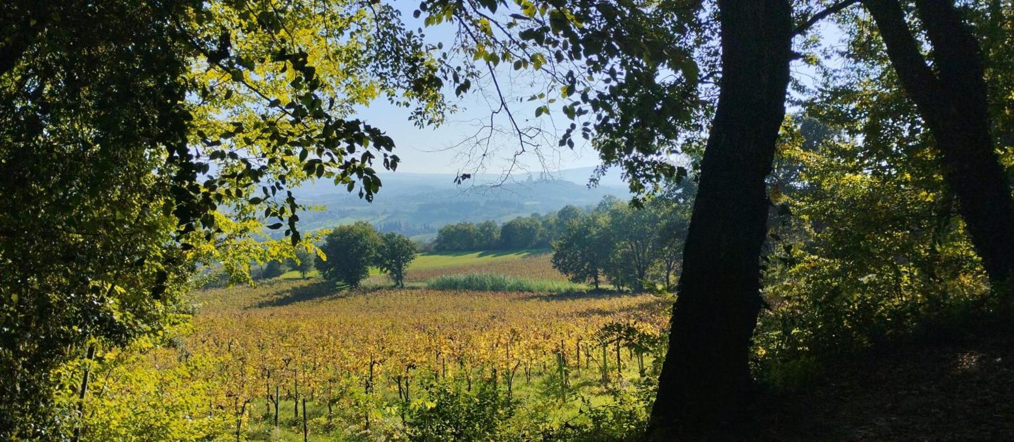 Cielo - Antica Casa Sulla Via Francigena Villa San Gimignano Eksteriør bilde